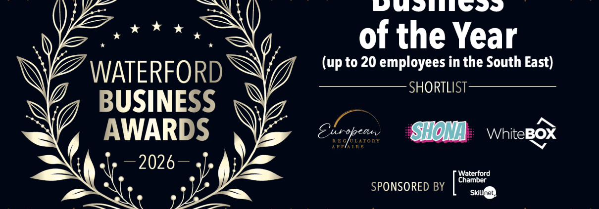 Business of the Year (up to 20)